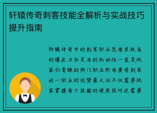 轩辕传奇刺客技能全解析与实战技巧提升指南